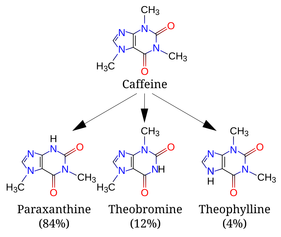 Theobromine