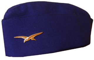 Side cap of the French Air and Space Force personnel