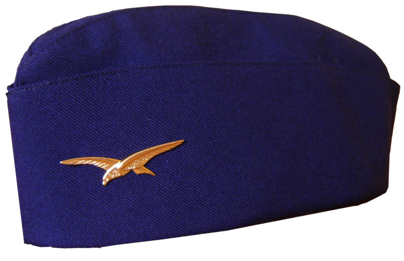 insigne de calot EPERVIER CHAROGNARD Armée de l'Air French Air-force