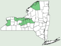 Carex sartwellii NY-dist-map.png