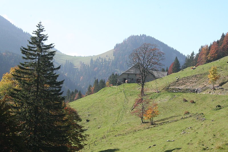 File:Chalet de la Dénériaz-dessus.jpg