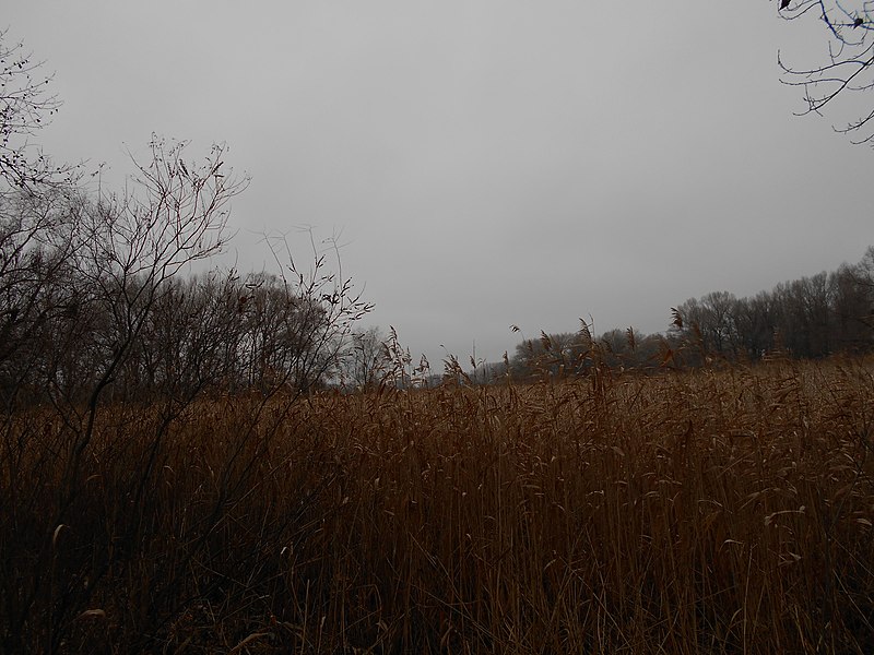 File:Cherkas'kyi district, Cherkas'ka oblast, Ukraine - panoramio (768).jpg