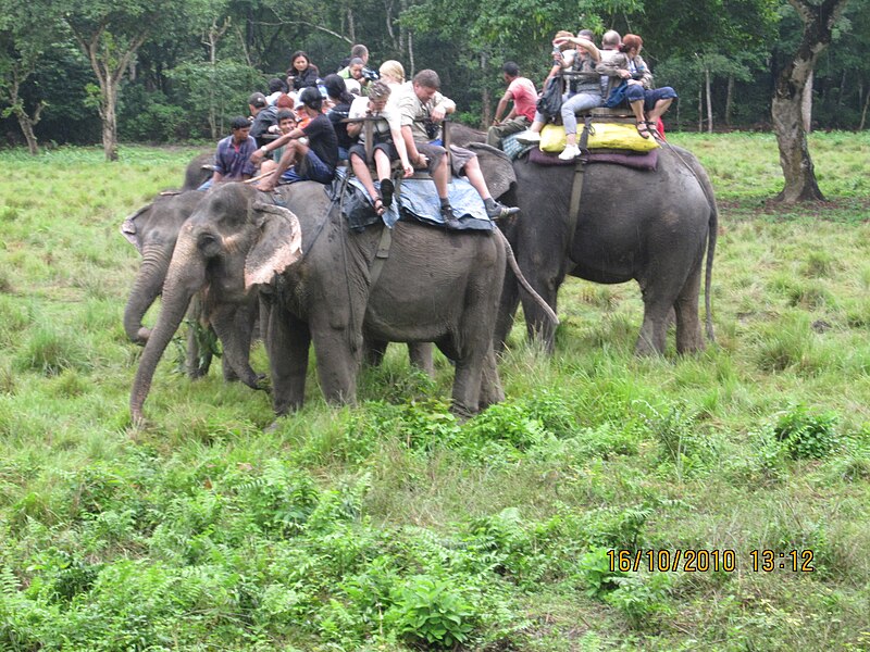 Goa Elephant Tour