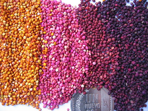 Colored quinoa