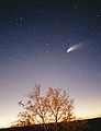 Comet-Hale-Bopp-29-03-1997 hires adj filtered.jpg