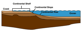 Profile illustrating the shelf, slope and rise. Continental shelf.png