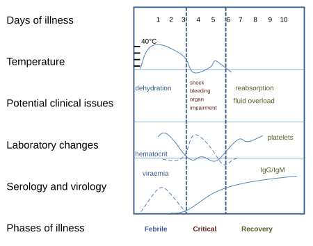 Fail:Course_of_Dengue_illness_vectorized.svg