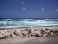 Cozumel Punta Morena Beach.JPG