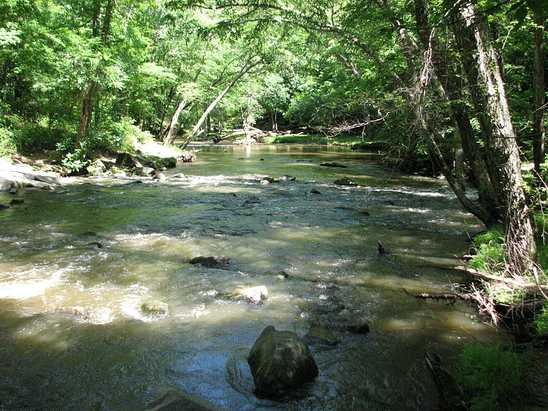 File:Crabtree Creek Company Mill Trail Umstead NC SP 0044 (3582926023).jpg