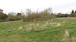 Cuddington Meadows