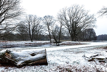 Winter mit einem zarten Überzug von weissem Schnee in der Landschaft, December 2018 in Germany, a photo taken on 2018-12-16.