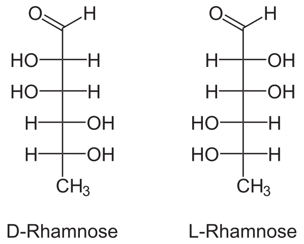 File Dl Rhamnose Svg Wikimedia Commons