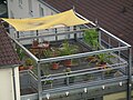 Roof gardens