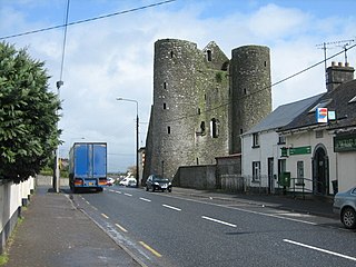 <span class="mw-page-title-main">Delvin</span> Village in Leinster, Ireland