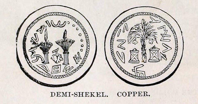 File:Demi - Shekel Copper.jpg