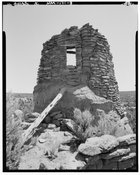 File:Detail of ladder and door entry, looking south. - Gomez Canyon Pueblito, Gomez Canyon, Dulce, Rio Arriba County, NM HABS NM,20-DUL.V,4-8.tif