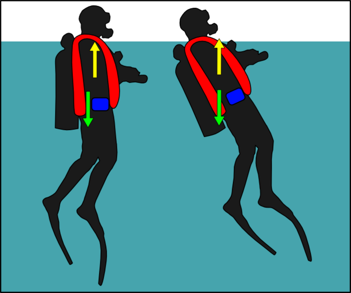 File:Diver with early jacket BCD stabilised at surface.png