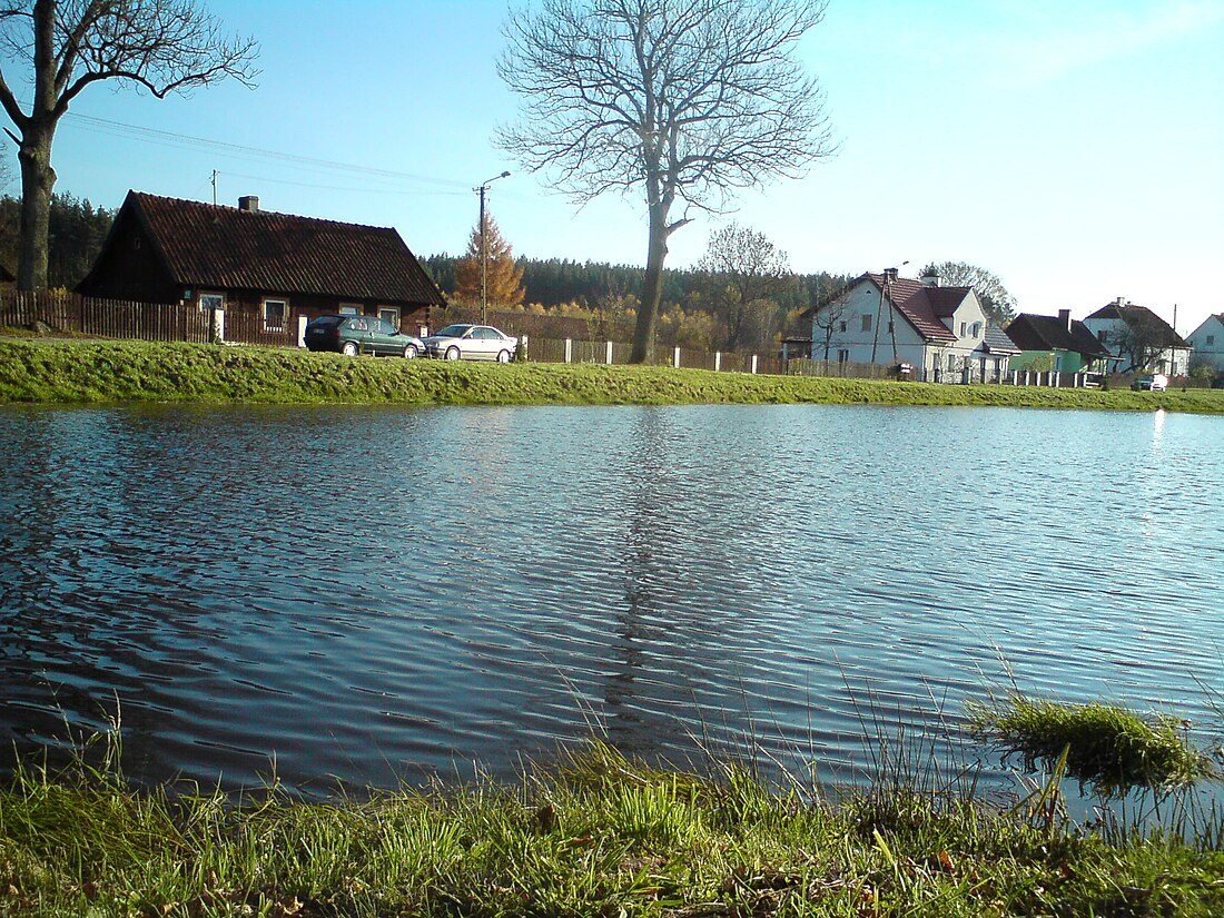 Dobrzyń (Varmie-Mazurie)