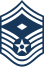 E8b USAF 1STSGT2.svg