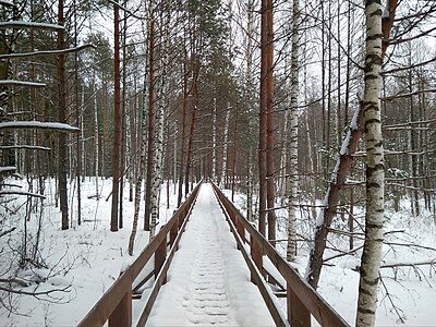 Кольцевая туристическая тропа в Мордовском заповеднике