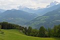 * Nomination Sweet chestnut tree (Castanea sativa) at the farmhouse Moar in Ums South Tyrol. --Moroder 08:48, 12 May 2018 (UTC) Nice view into Val de Funes..., but where is the chestnut tree?--Isiwal 13:37, 13 May 2018 (UTC) Done I put a note. The farmers dog wouldn't allow me to get closer --Moroder 17:48, 13 May 2018 (UTC) * Promotion Good quality. Btw: I know a cultural heritage monument which is not accessible because of that reason ;-[ --Isiwal 18:20, 13 May 2018 (UTC)