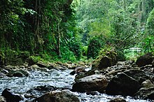 Tanama in Utuado El Rio Tanama en Utuado, Puerto Rico.jpg