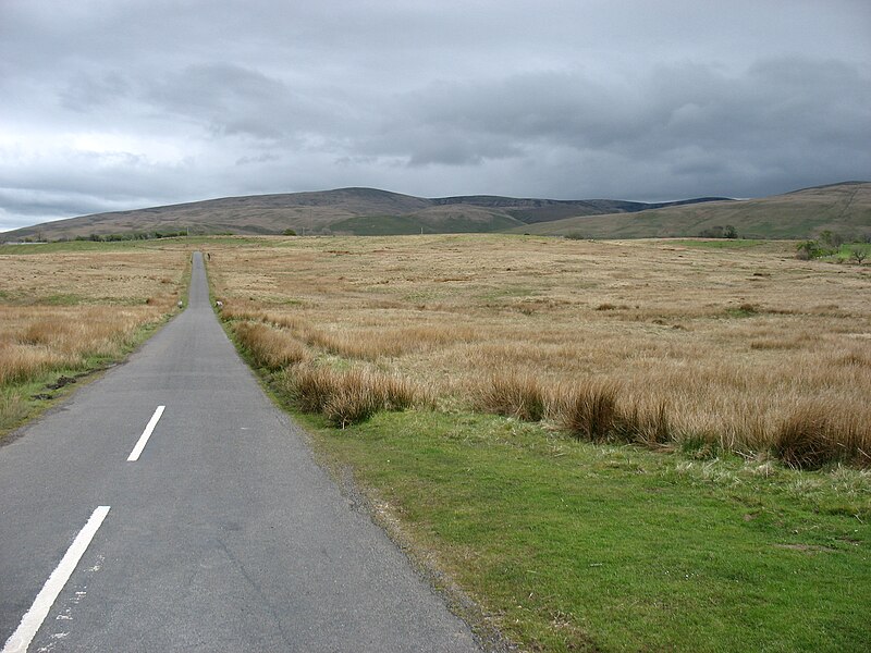 File:Ellerbeck Common - geograph.org.uk - 2932462.jpg