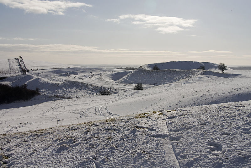 File:Enclosure on Hambledon Hill 20090207.jpg