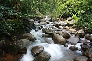 Namtok Phlio National Park Protected area in Chanthaburi Province, Thailand