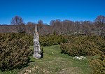 Vignette pour Menhir d'Itaida