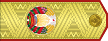 Epaulettes President of Belarus 2.png