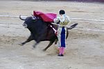 Miniatura para Estatuario (tauromaquia)