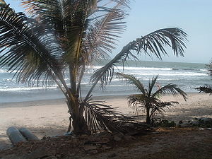 Beach at Fajara