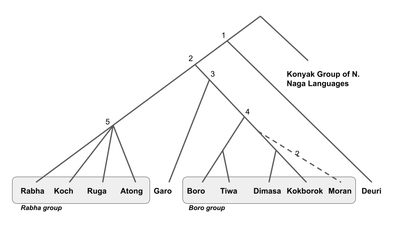 The Boro-Garo language Family Tree (Burling, 2012). Deuri, earlier erroneously called Chutia, is the first split and is farthest from the other languages in this group.  The original Boro-Garo language of the Chutia people, who currently speak Assamese, is unknown.  Moran, a language belonging to the Boro group, was last recorded in the early 20th century and is no longer attested.  The Rabha group is also called the Koch group.  Thus, there are four sub-groups within this classification of the Boro-Garo languages: Deori, Boro, Garo and Rabha/Koch.
