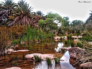 <span class="mw-page-title-main">Fendi, Algeria</span> Commune in Béchar Province, Algeria