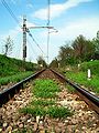 Railroad near Maleo