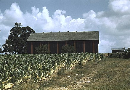 Tobacco barn near Lexington, Kentucky