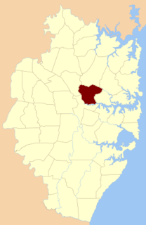 Parish of Field of Mars Cadastral in New South Wales, Australia