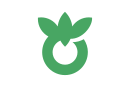 Ōi-machi zászlaja
