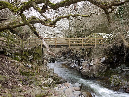 Footbridge over the College Burn, east of Hethpool Linn - geograph.org.uk - 1739629