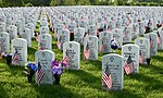 Vignette pour Cimetière national de fort Snelling