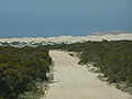 The road to Fowlers Bay