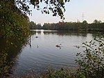 Unterer Aueweiher in Fulda