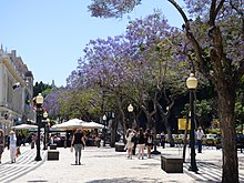 Funchal 12 (29073421632).jpg