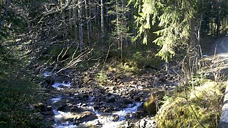 The mouth of the Geigenbach (right) into the Gaißach (left)