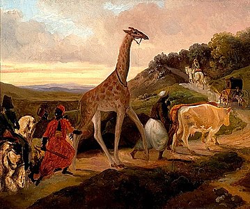 Le Passage de la girafe près d'Arnay-le-Duc, tableau de Jacques Raymond Brascassat, 1831, musée des Beaux-Arts de Beaune[27].