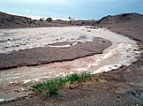 ゴビ砂漠のアロヨを満たす鉄砲水（2009年11月）