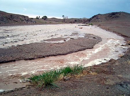 Tập_tin:GobiFlood.JPG