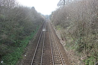 <span class="mw-page-title-main">Godminster Lane Quarry and Railway Cutting</span> Geological Site of Special Scientific Interest in Somerset, England