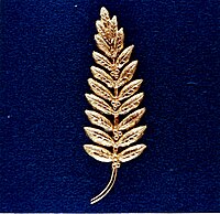 Rama de olivo dorada dejada en la Luna por Neil Armstrong en la misión Apolo 11 de 1969 como símbolo de paz.